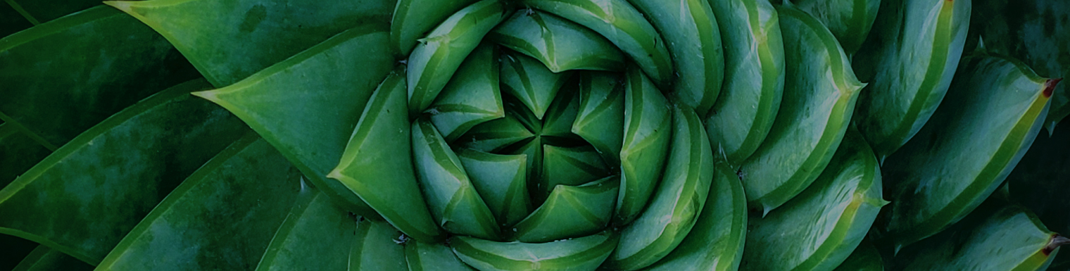 Aloe ESG Aloe ESG